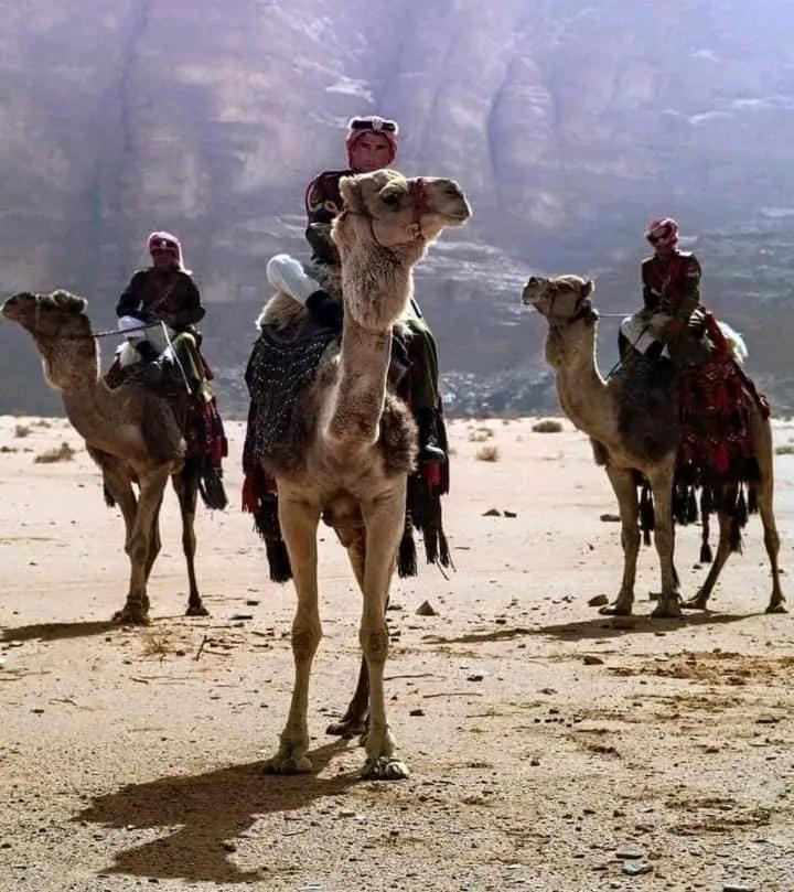 Enad desert camp Wadi Rum Exterior foto