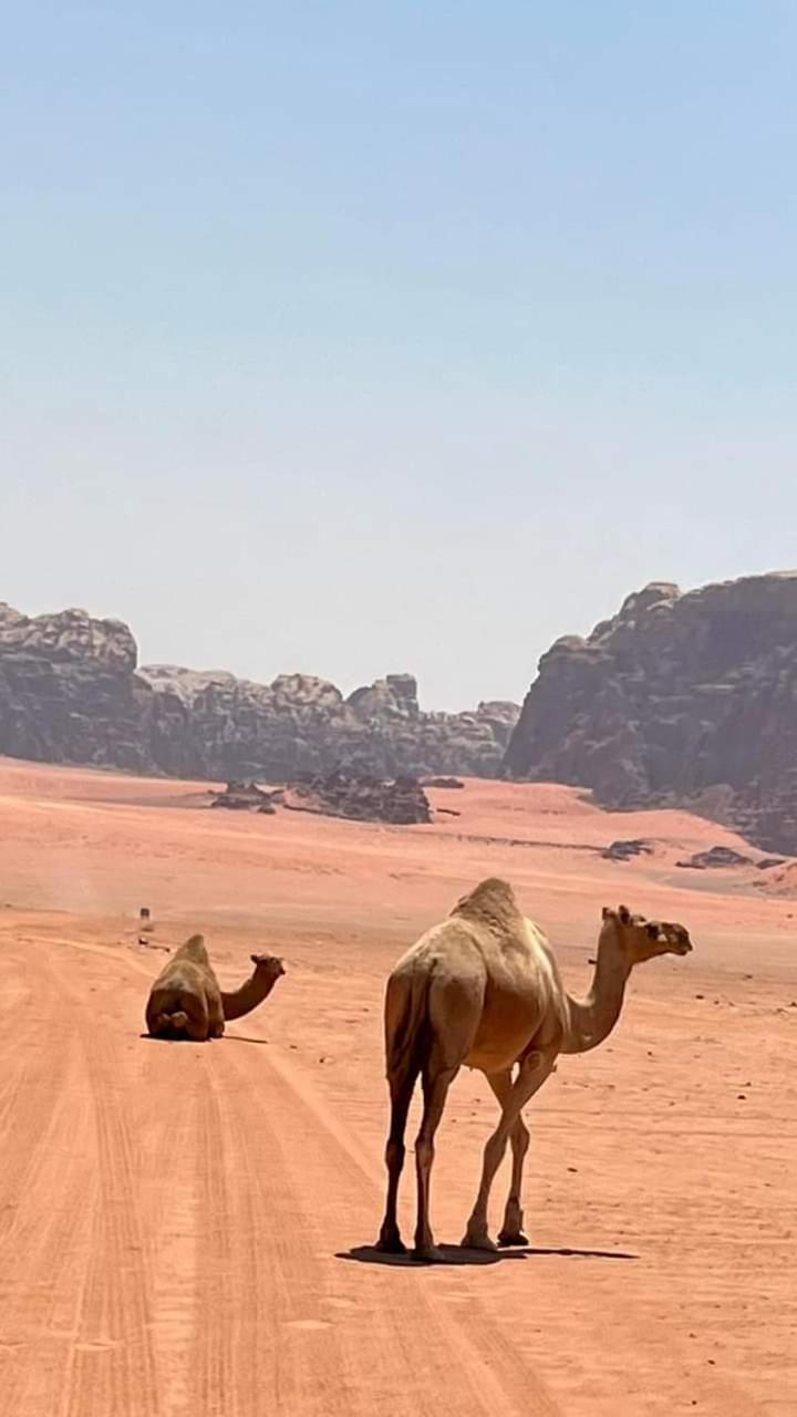 Enad desert camp Wadi Rum Exterior foto