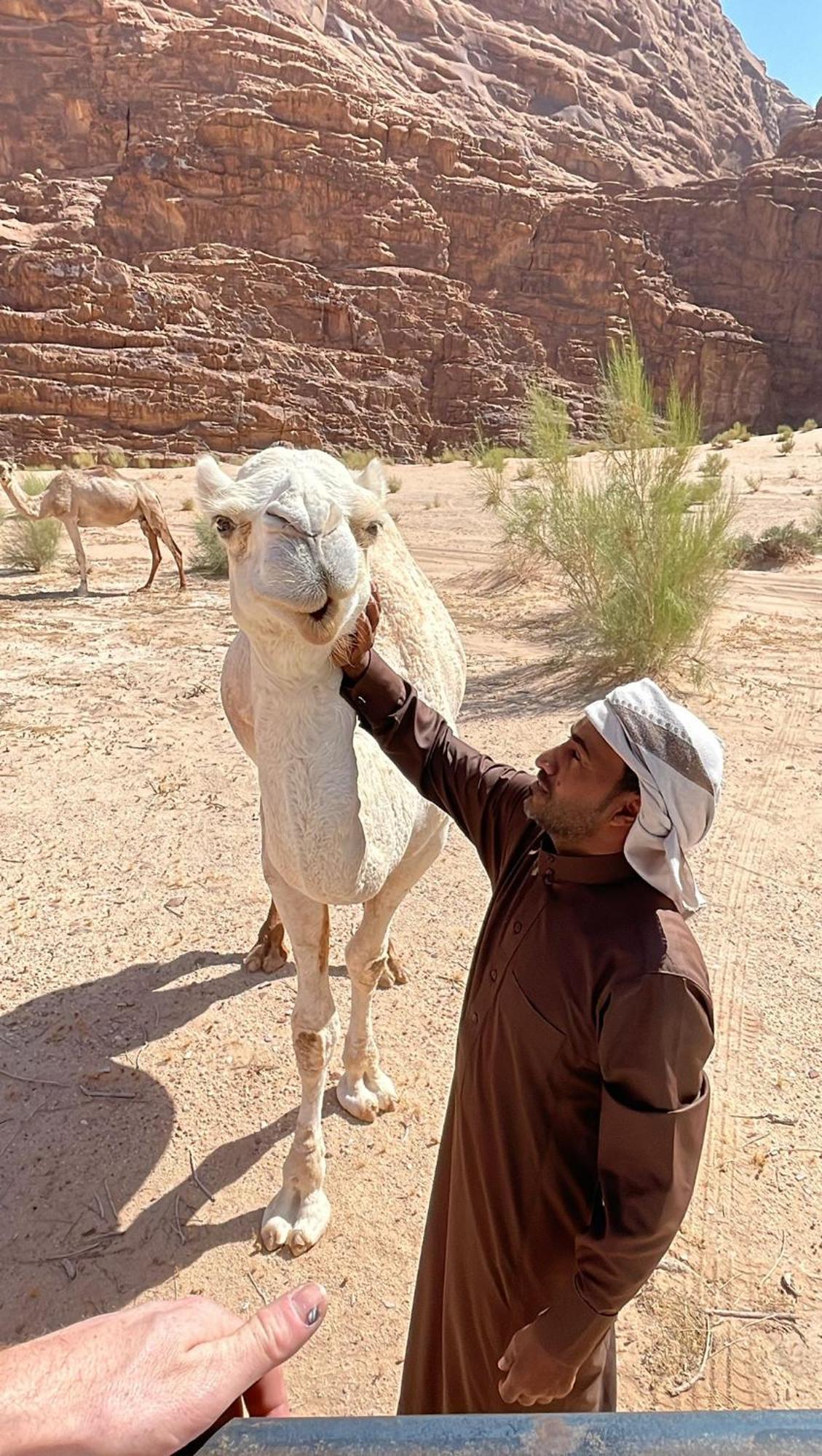Enad desert camp Wadi Rum Exterior foto
